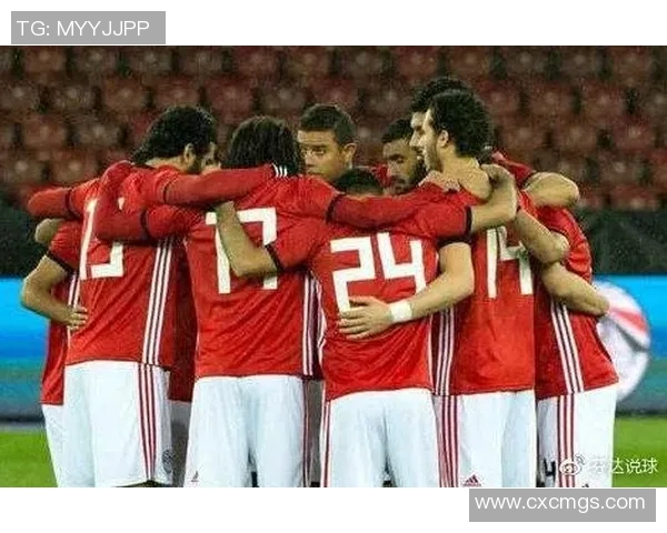 埃及与南非足球赛精彩对决比分预测及分析建议