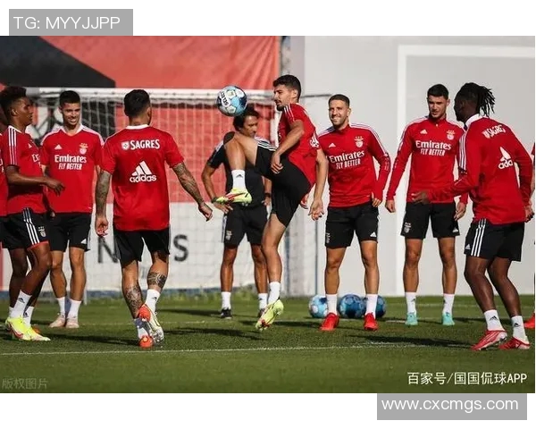 摩纳哥与马赛对决前瞻伤停情况分析及影响探讨