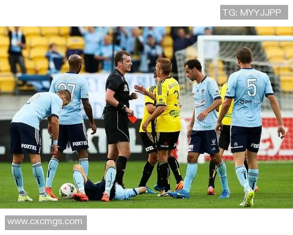 西悉尼对阵惠灵顿的战术分析与近期状态评估 西悉尼对阵惠灵顿的战术分析与近期状态评估