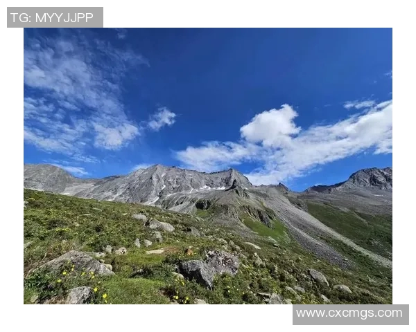 探索上海的自然之美加入户外徒步俱乐部与志同道合的朋友一起畅享健康生活