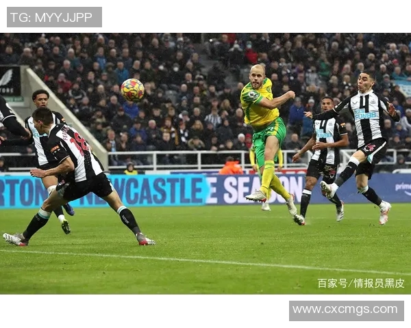 诺维奇与曼城精彩对决录像回放分析及精彩瞬间集锦