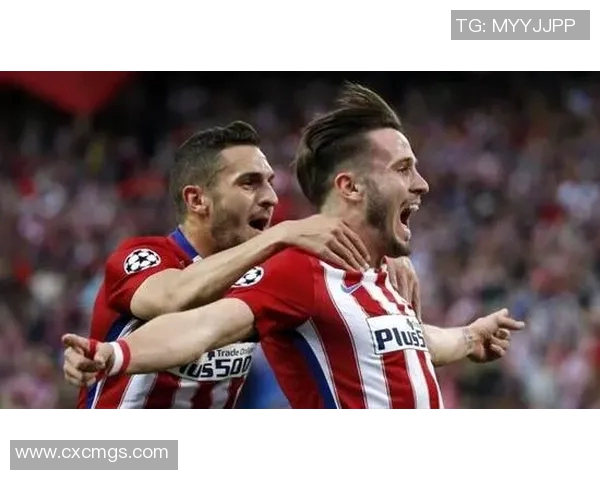 喀麦隆与荷兰上半场精彩对决分析及战术解读